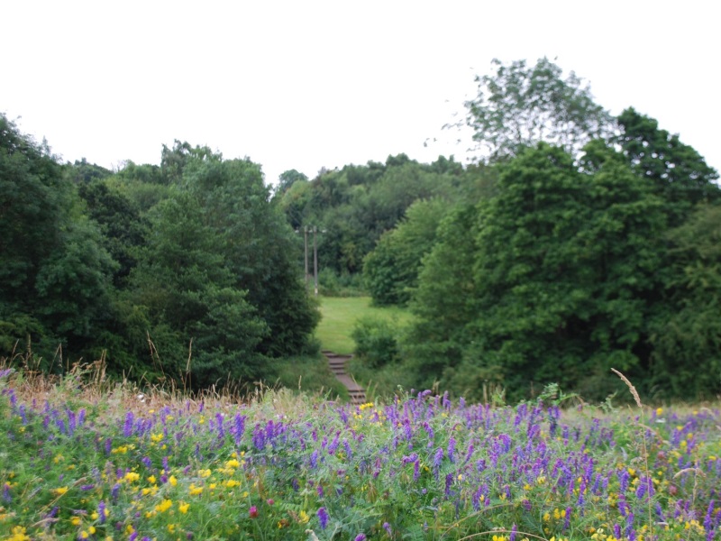 Image two about Belper Parks Local Nature Reserve