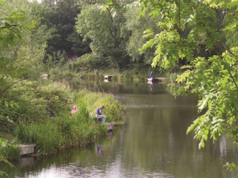 Image two about Pennytown Ponds Local Nature Reserve