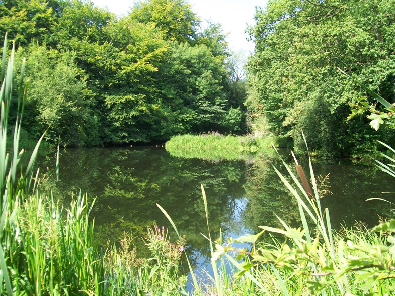 Image one about Pennytown Ponds Local Nature Reserve