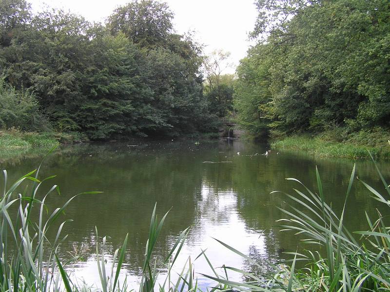 Image three about Pennytown Ponds Local Nature Reserve